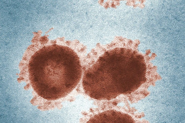 cdc-L0jLHqF7Q94-unsplash_1